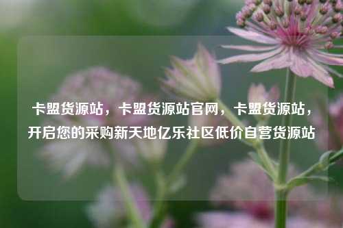 卡盟货源站	，卡盟货源站官网，卡盟货源站，开启您的采购新天地亿乐社区低价自营货源站  第1张