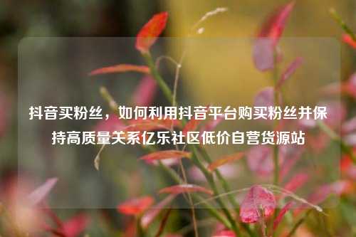 抖音买粉丝	，如何利用抖音平台购买粉丝并保持高质量关系亿乐社区低价自营货源站  第1张